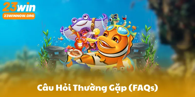Câu Hỏi Thường Gặp (FAQs)