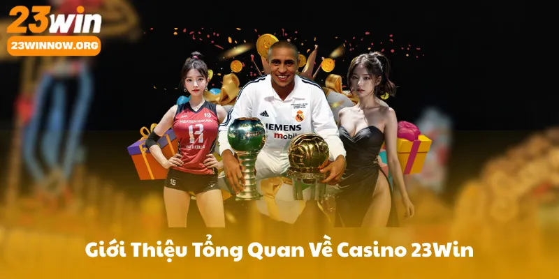 Giới Thiệu Tổng Quan Về Casino 23Win