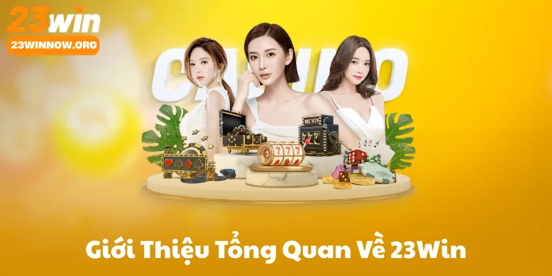 Giới Thiệu Tổng Quan Về 23Win