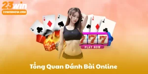 Giới Thiệu Tổng Quan Đánh Bài Online 23Win