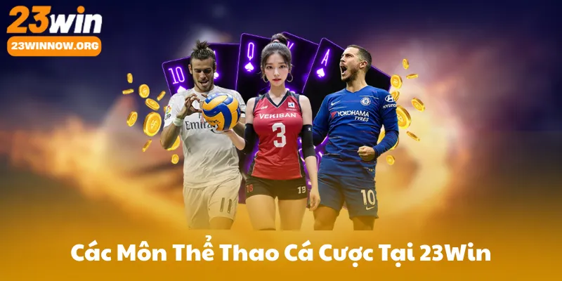 Các Môn Thể Thao Cá Cược Tại 23Win