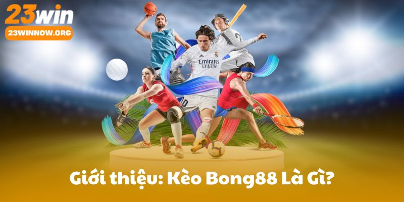 Giới thiệu: Kèo Bong88 Là Gì? Tổng Quan & Ai Nên Đọc