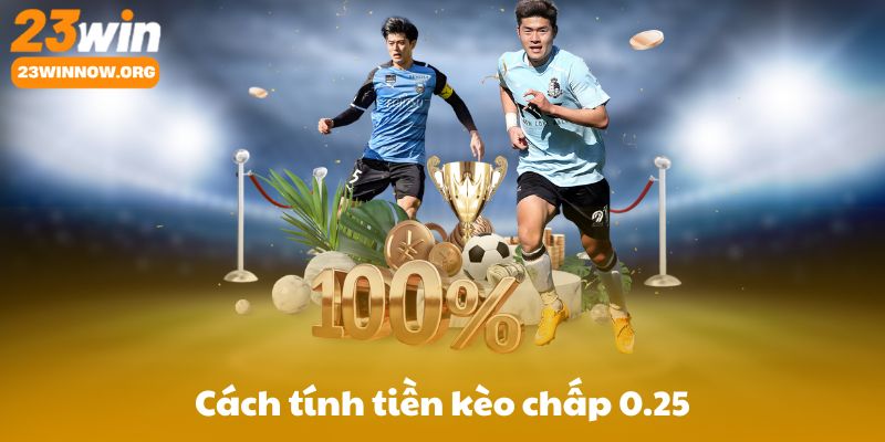 Cách tính tiền kèo chấp 0.25 theo từng định dạng odds (Decimal, Hong Kong, Indo, Malay)
