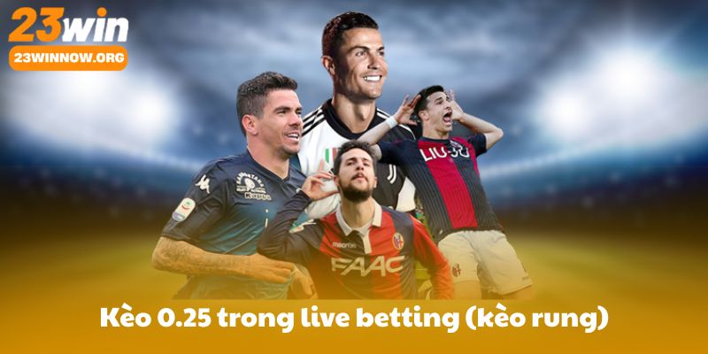 Kèo 0.25 trong live betting (kèo rung): Dấu hiệu vào kèo từ nhịp trận và dữ liệu live