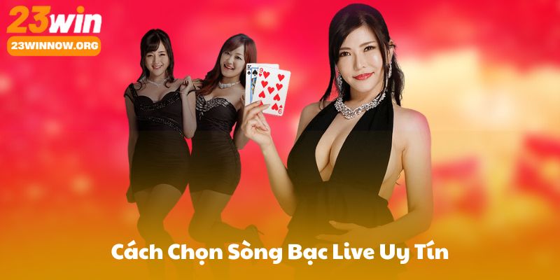 Cách Chọn Sòng Bạc Live Uy Tín