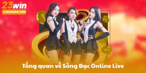 Tổng quan về Sòng Bạc Online Live